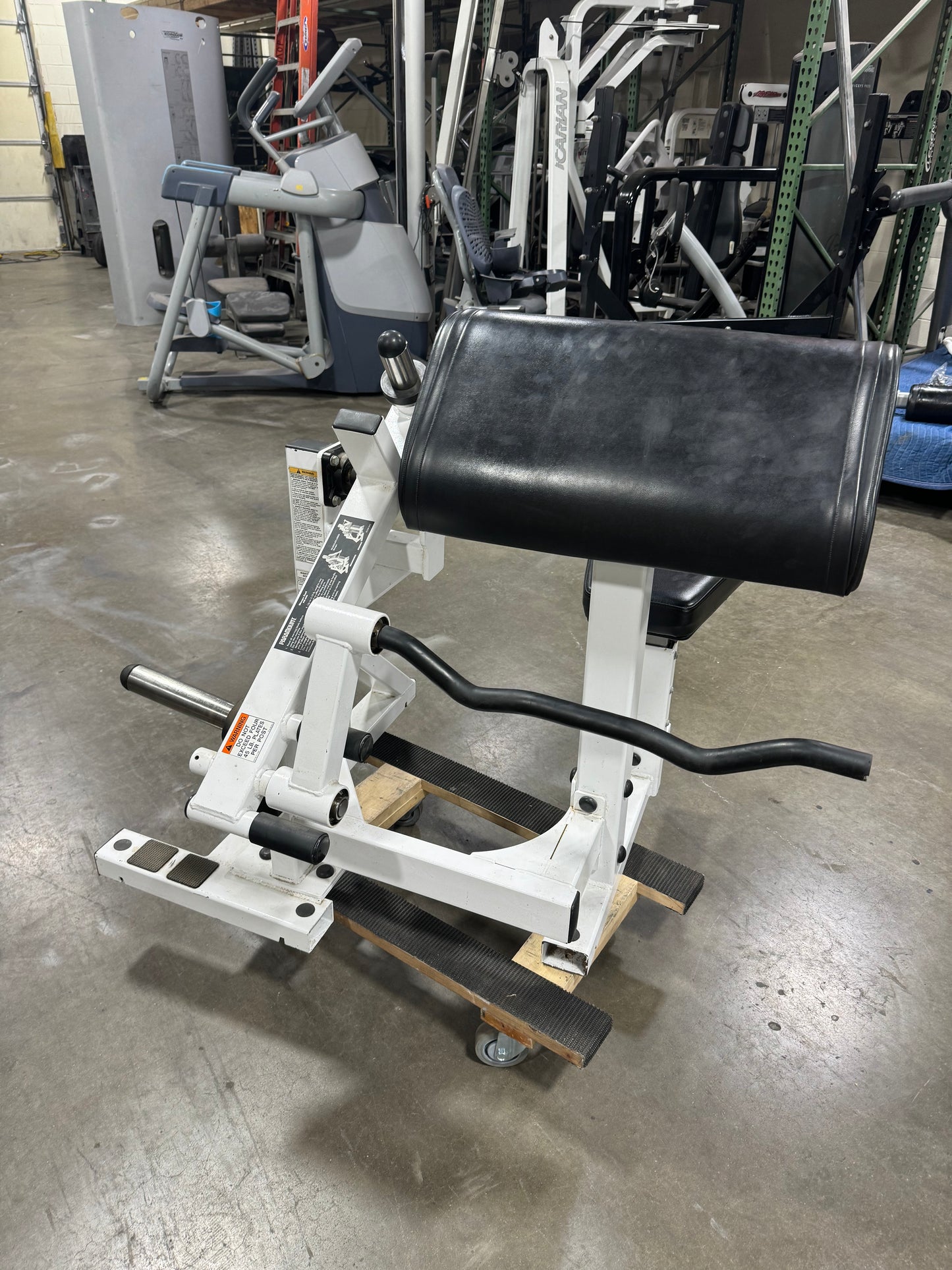 Paramount FW-600 Bicep Curl (plate loaded)