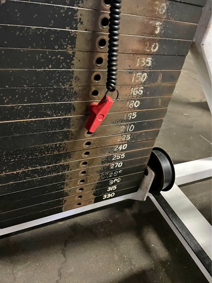 Flex Fitness Dip Machine FA-508