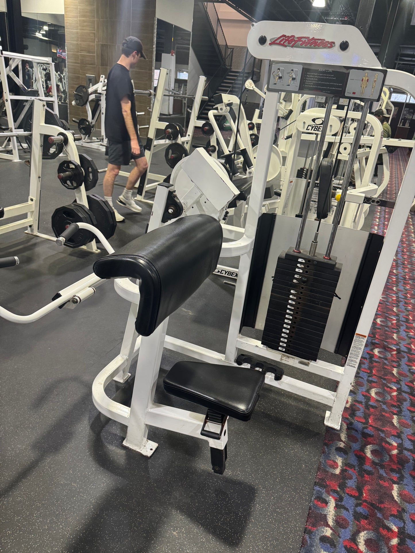 Life Fitness Pro Bicep Curl