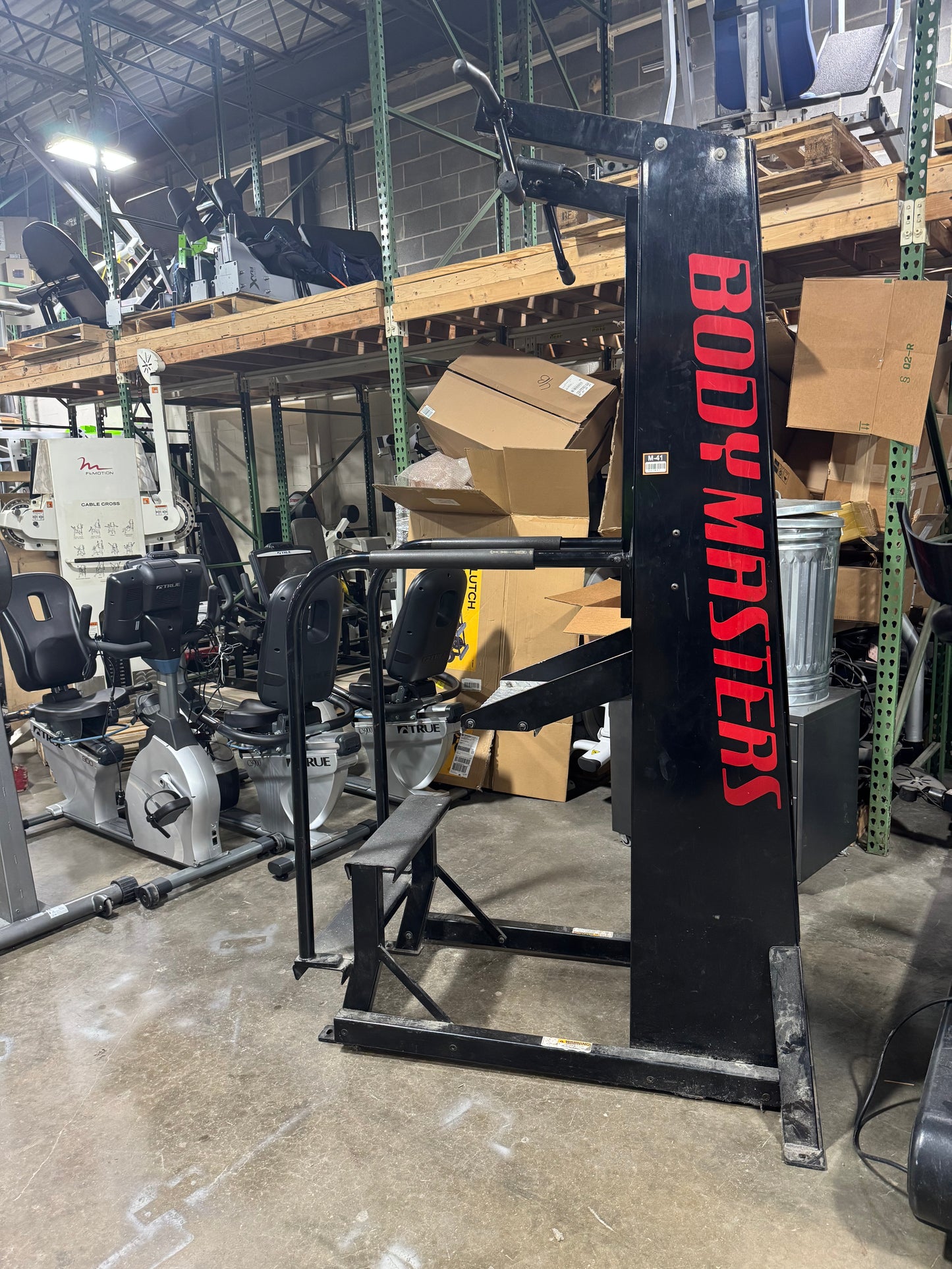 BodyMasters Assisted Chin Dip Machine