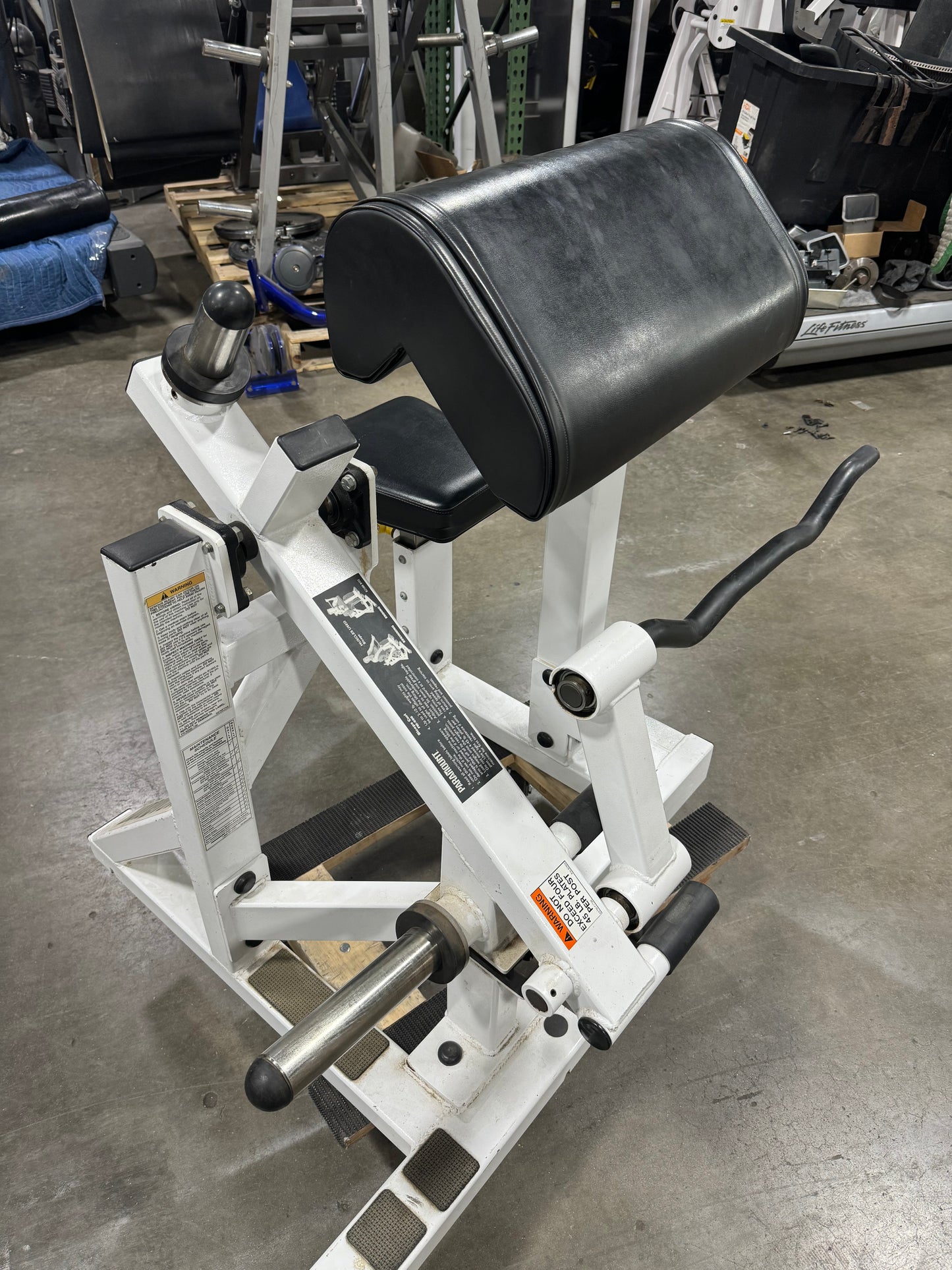 Paramount FW-600 Bicep Curl (plate loaded)