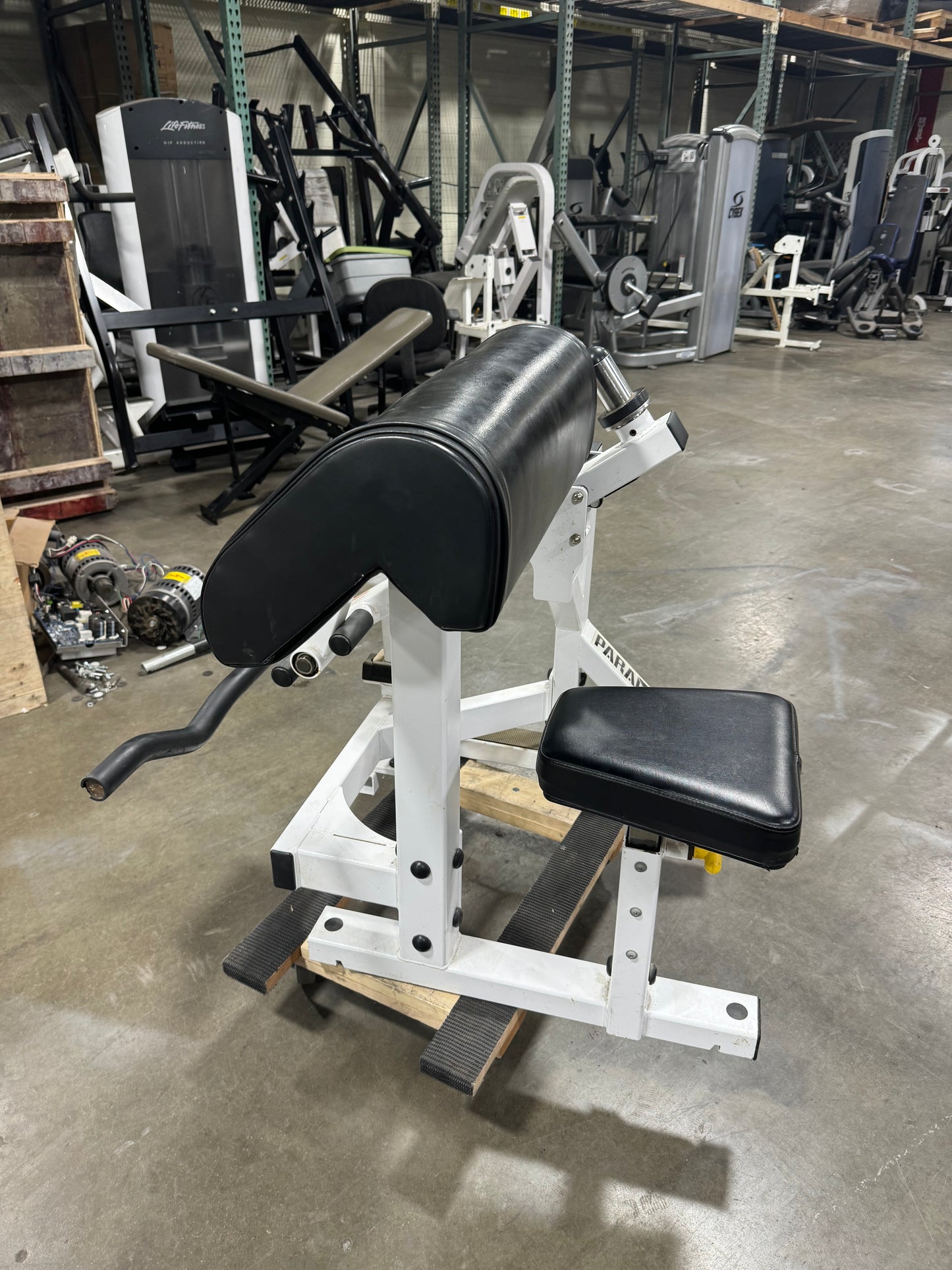 Paramount FW-600 Bicep Curl (plate loaded)