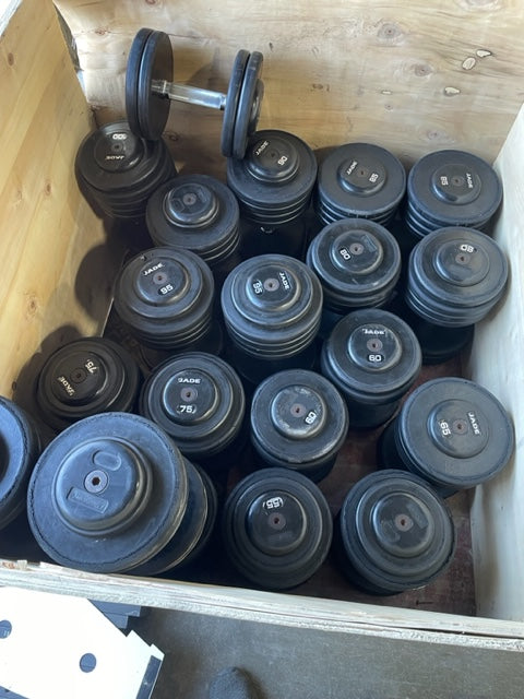 Jade Dumbbells Pro Style Dumbbells 5-100lbs
