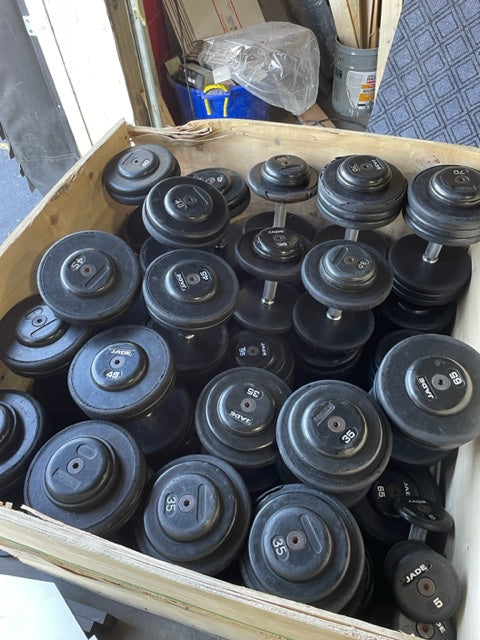 Jade Dumbbells Pro Style Dumbbells 5-100lbs