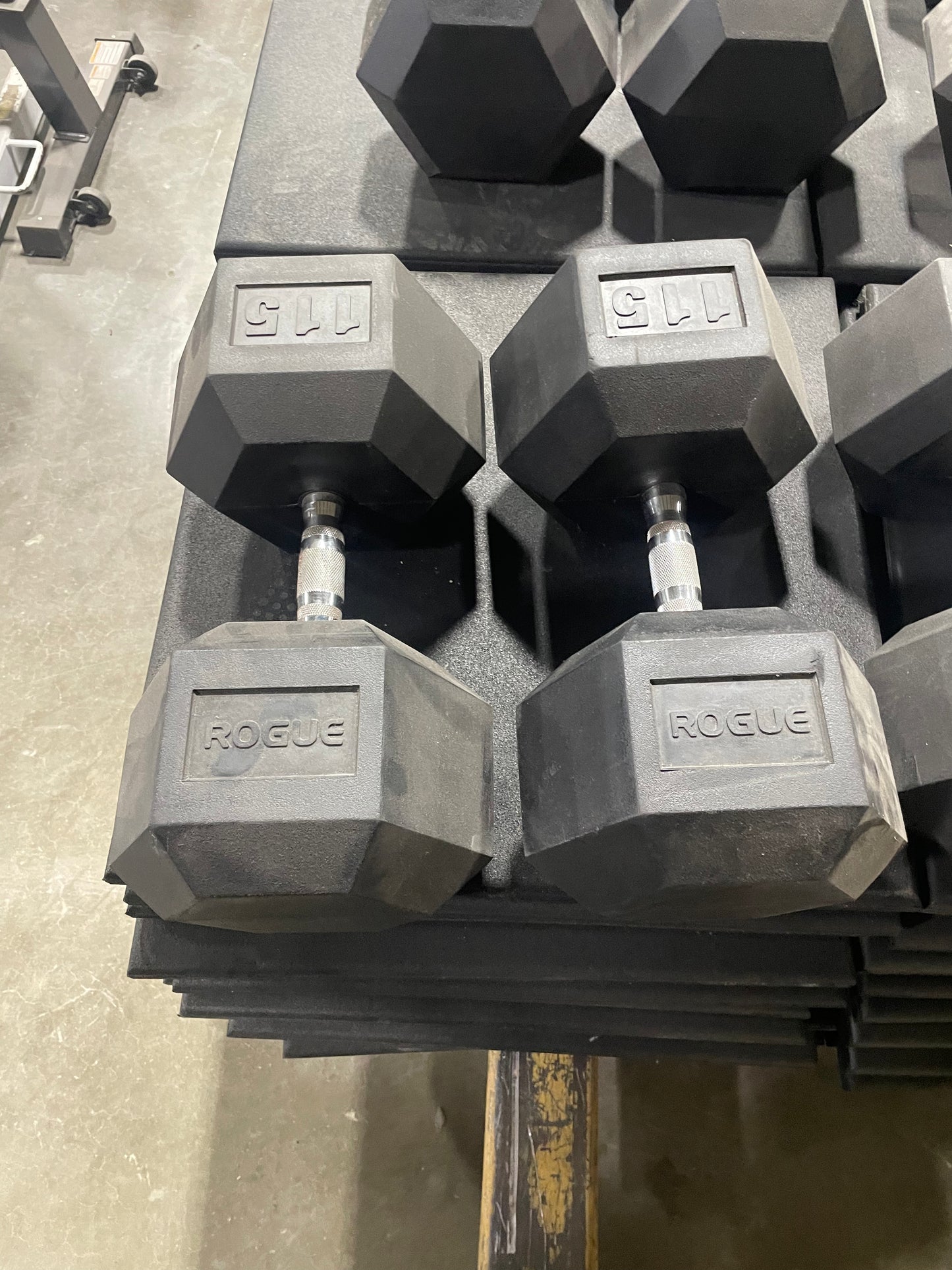 Troy with heavey ROGUE RUBBER HEX DUMBBELLS 5-125lbs w/ Rack
