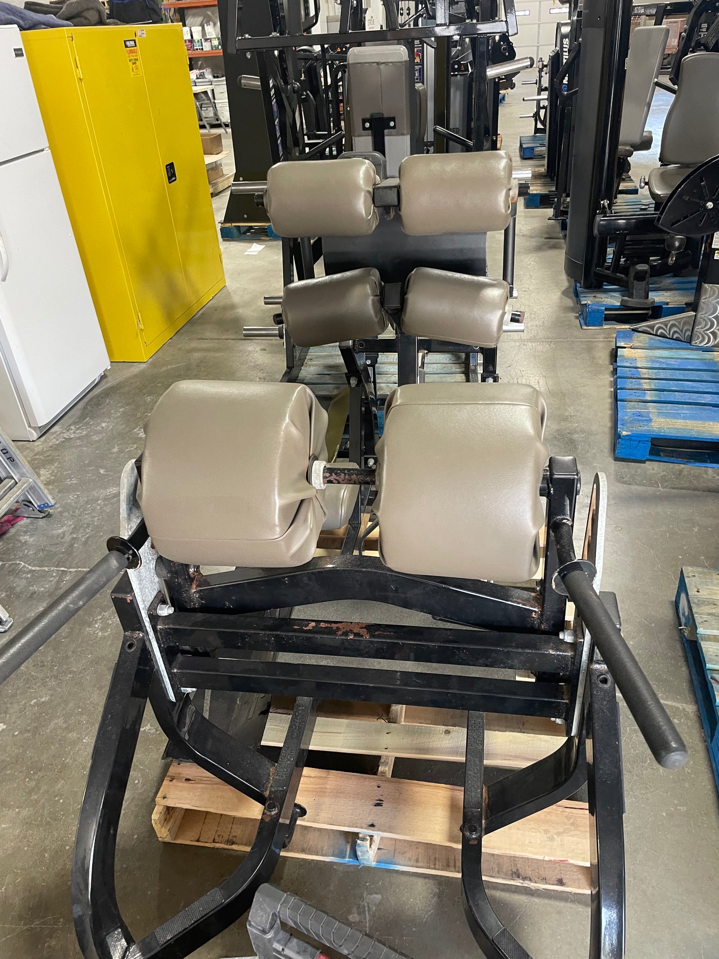 Hammer Strength Glute Ham Developer GHD