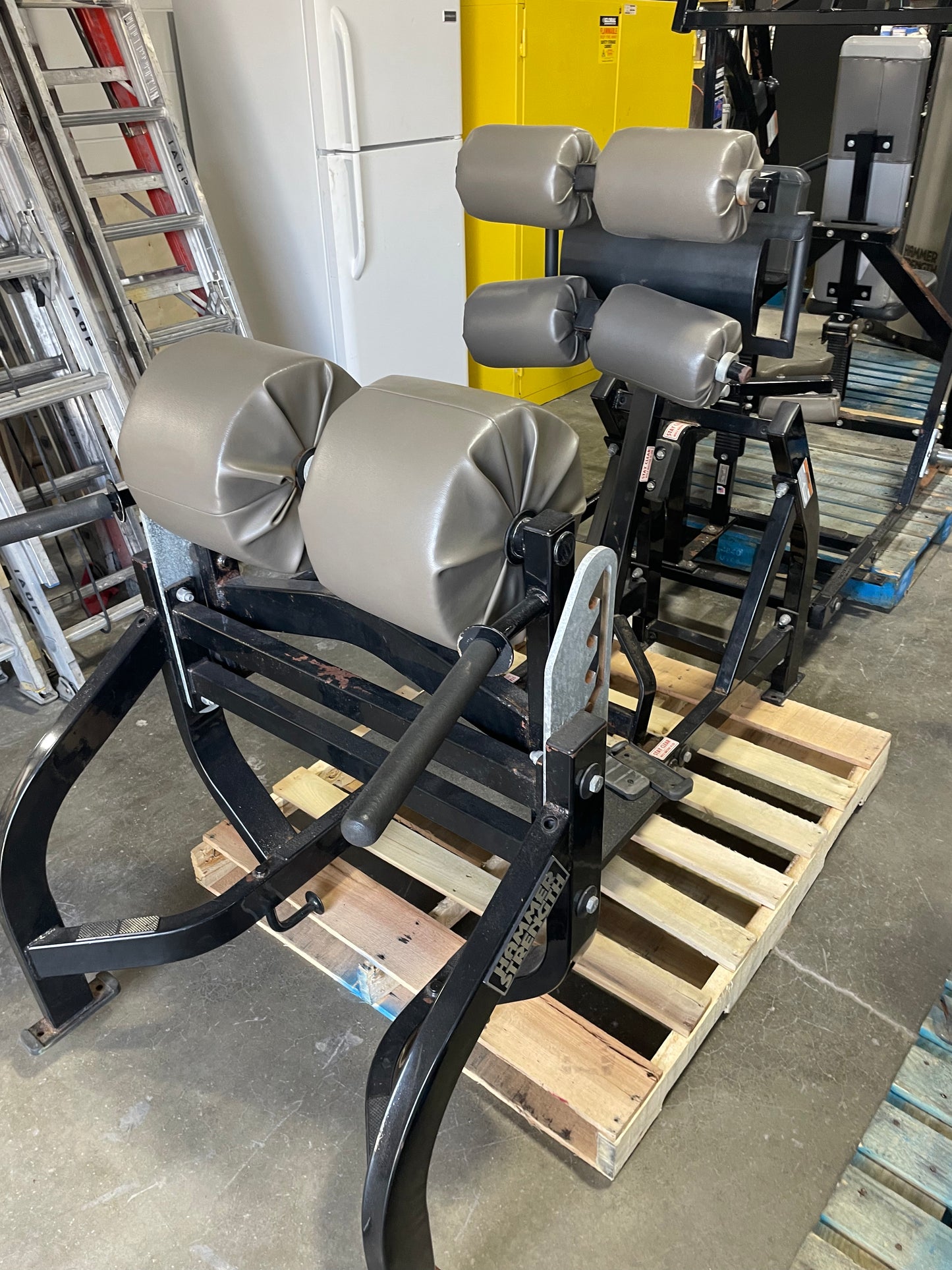 Hammer Strength Glute Ham Developer GHD
