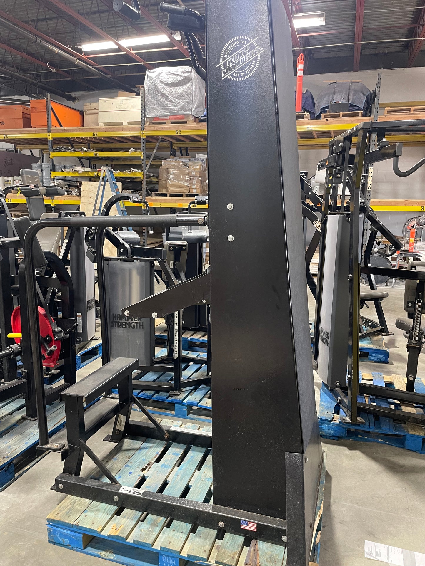 BodyMasters Assisted Chin Dip Machine