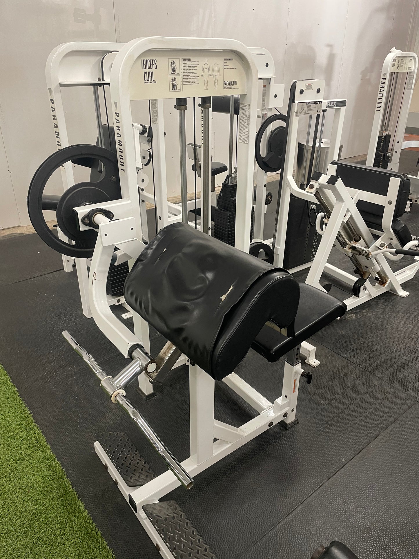 Paramount Bicep Curl