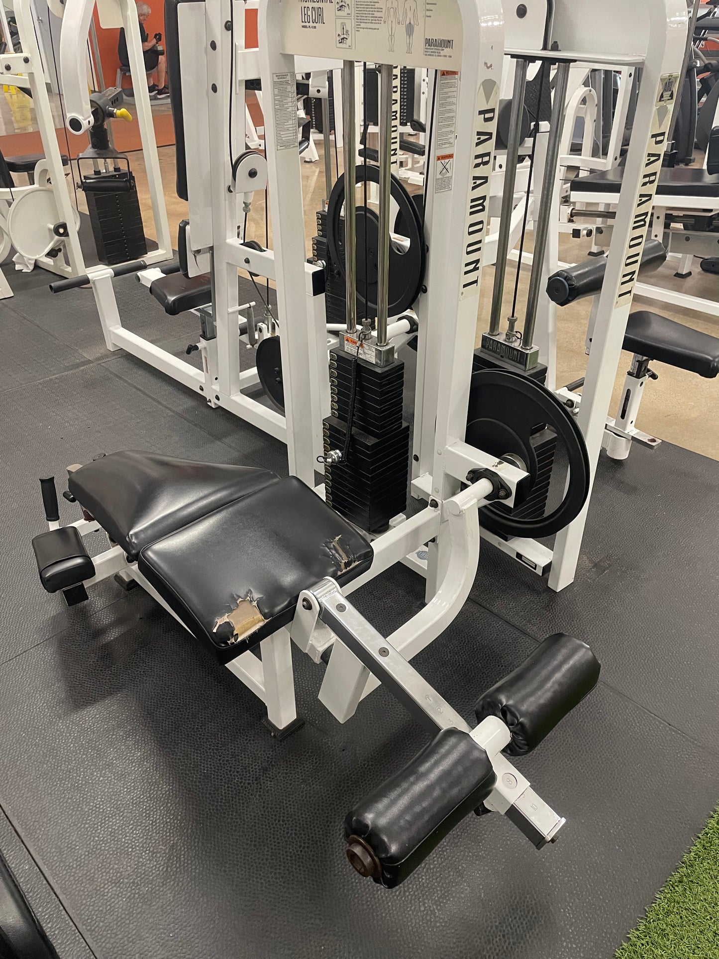 Paramount Horizontal Leg Curl PL-4100 Prone Leg Curl