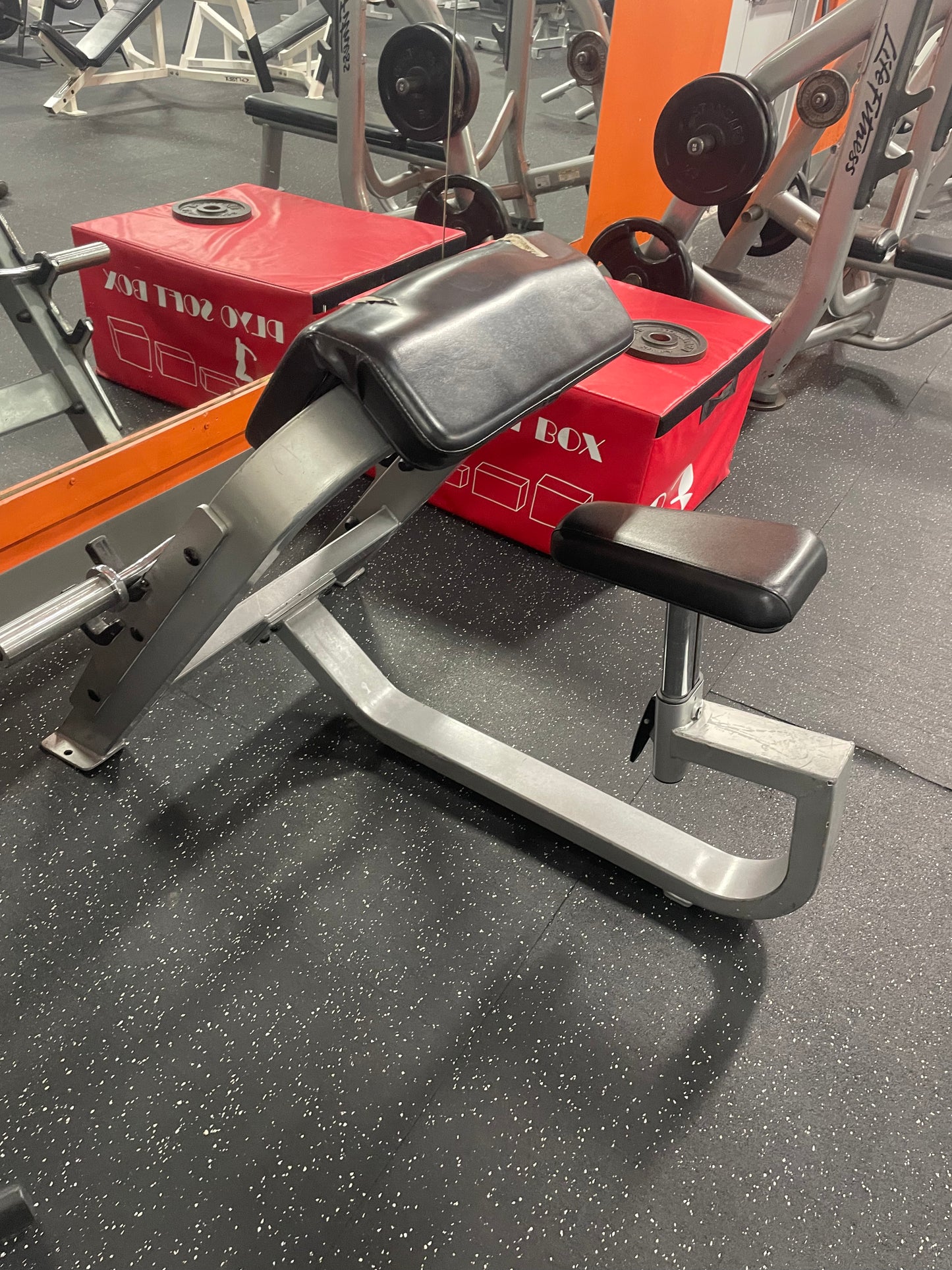 Precor Icarian Preacher Curl Bench Model 202