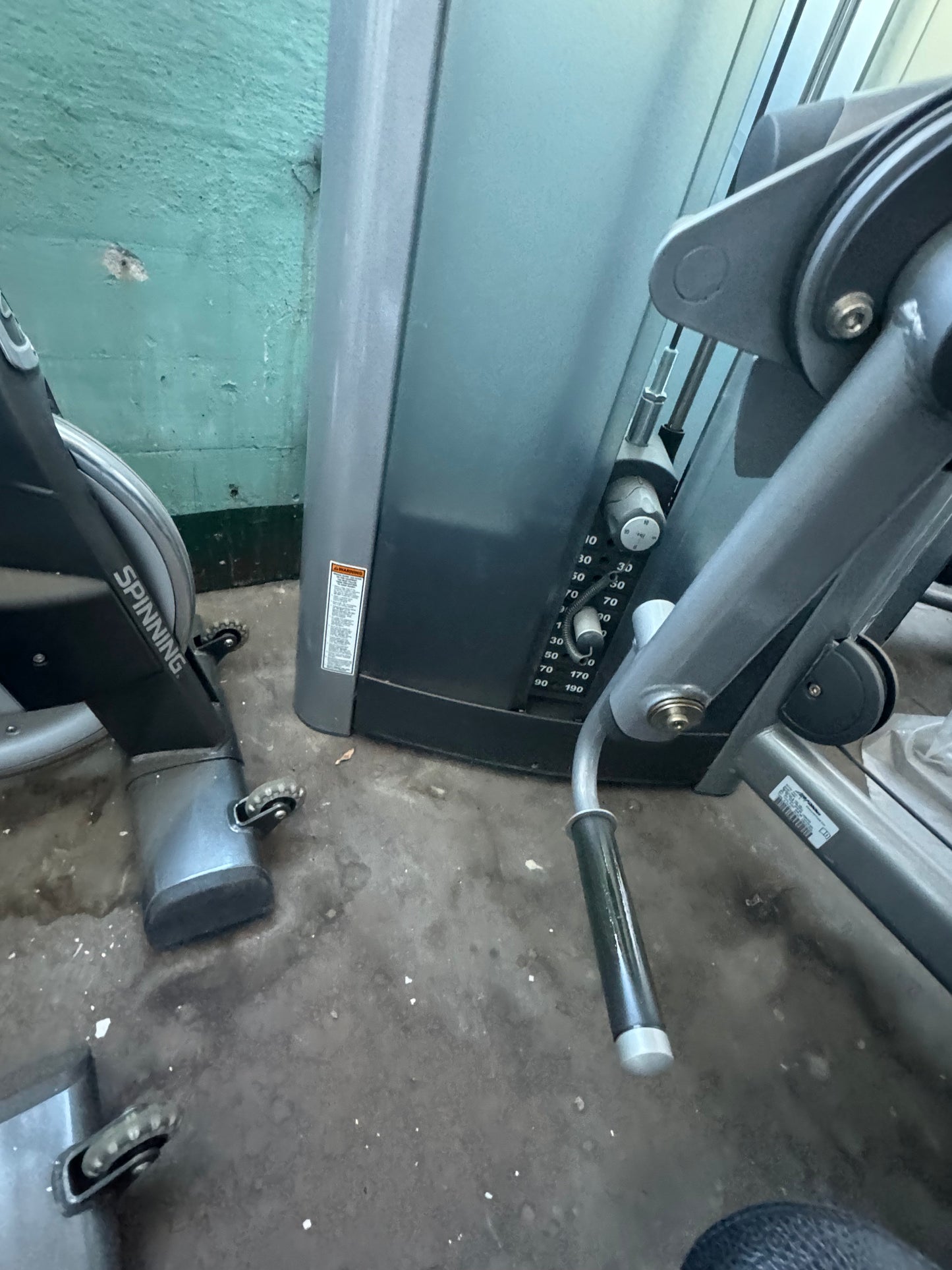 Life Fitness Biceps Curl Bilateral Biceps Curl