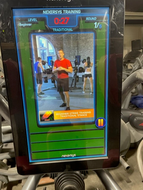 Nexersys Interactive Boxing Mixed Martial Arts Trainer