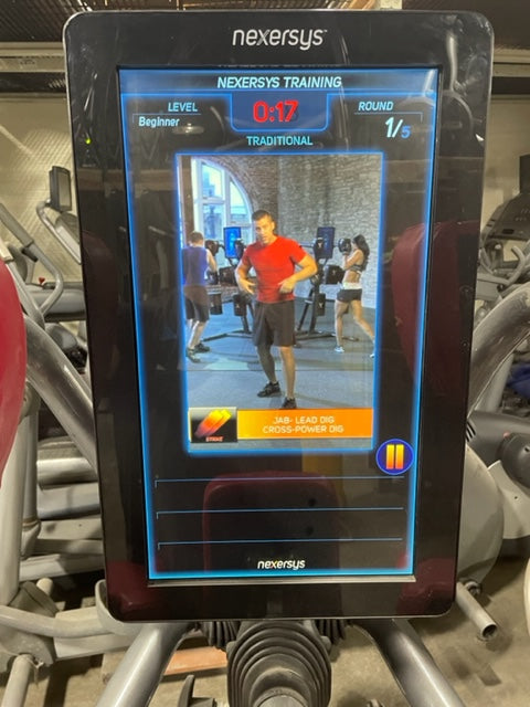 Nexersys Interactive Boxing Mixed Martial Arts Trainer