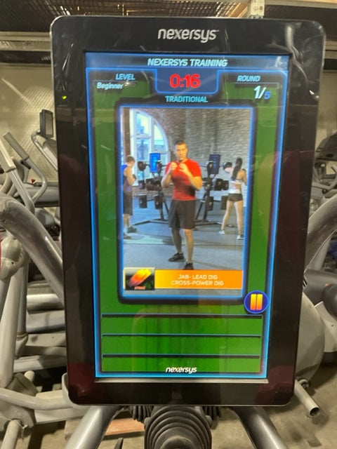 Nexersys Interactive Boxing Mixed Martial Arts Trainer