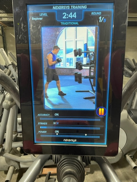 Nexersys Interactive Boxing Mixed Martial Arts Trainer