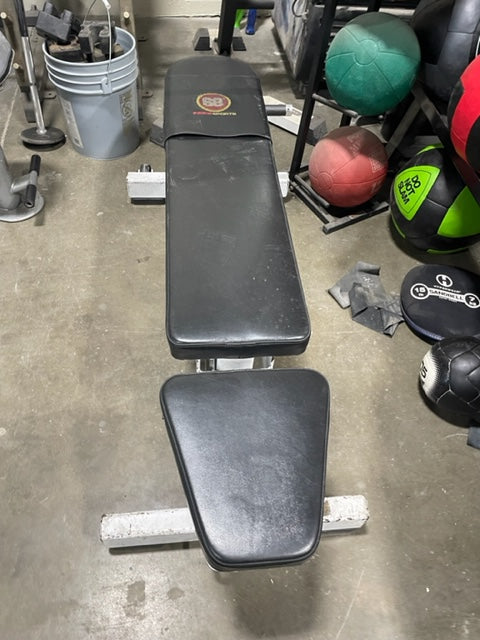 Pro Star Flat to 90 Adjustable Bench PS656