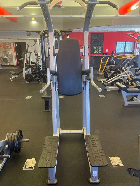Atlantis Fitness D-130 Chin / Dip / Leg Raise VKR