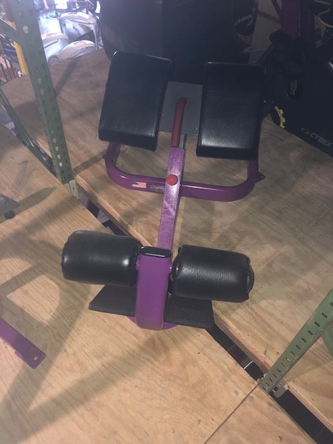 Body Masters 45 Degree Back Extension Hyperextension Bench FW 1216