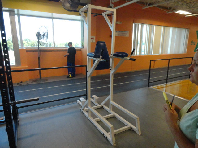 Cybex Chin Dip VKR Roman Chair