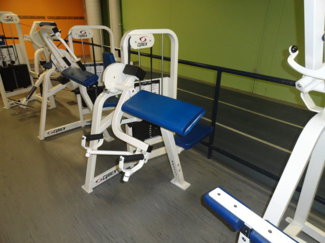 17 piece Cybex VR2 Circuit