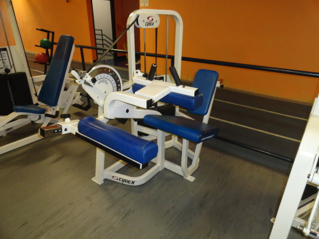 17 piece Cybex VR2 Circuit