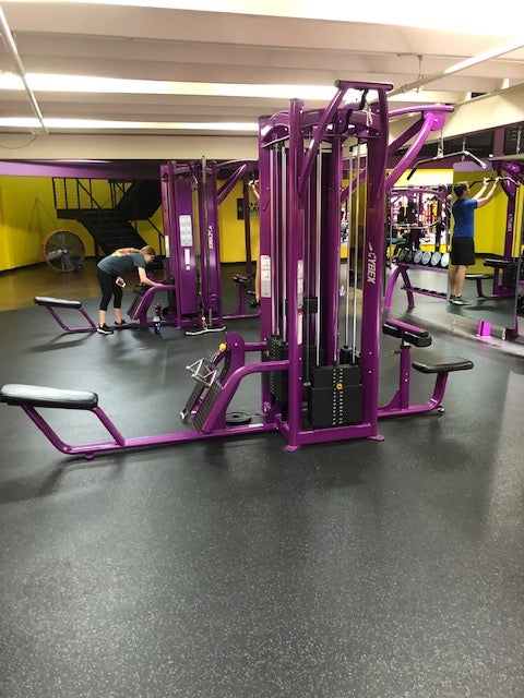 Cybex 4 Stack Multi Jungle