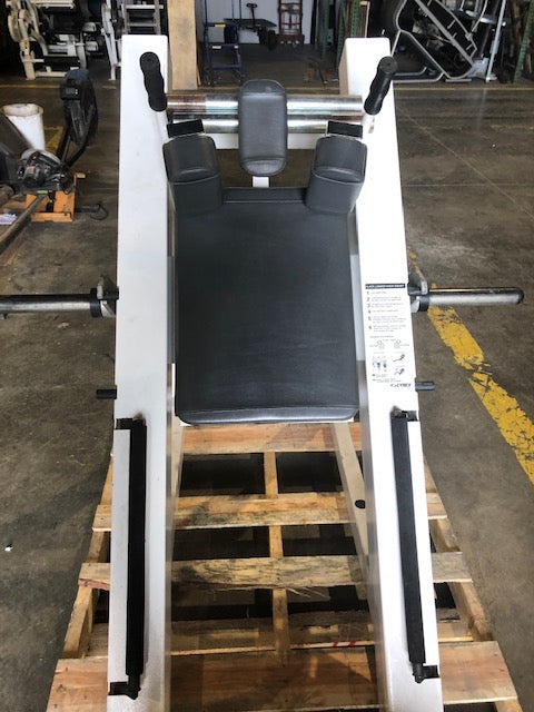 Cybex Hack Squat 5330
