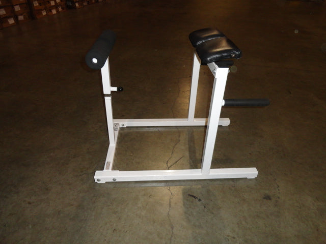 Roman Chair/Gulte Hamstring Developer