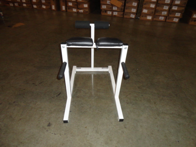 Roman Chair/Gulte Hamstring Developer