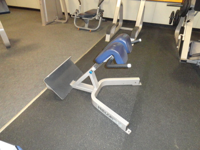 31 piece Icarian Gym Package
