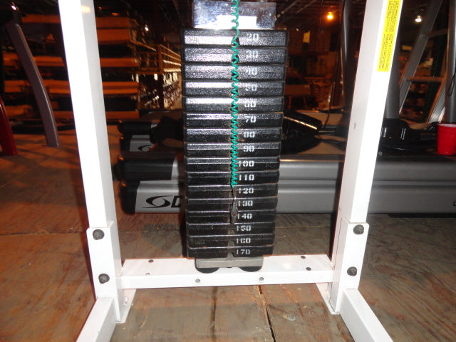 Paramount Multi-Hip Selectorized machine