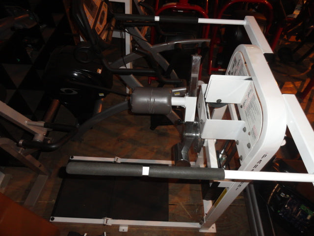 Paramount Multi-Hip Selectorized machine