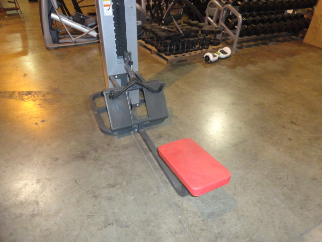 Cybex Low Row