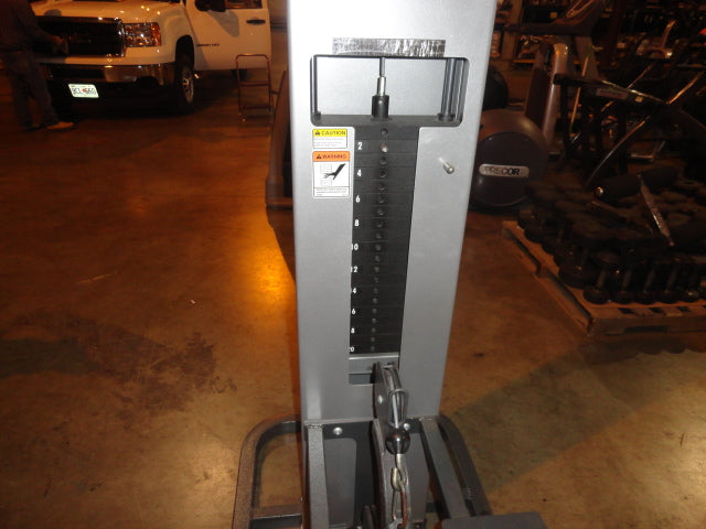 Cybex Low Row