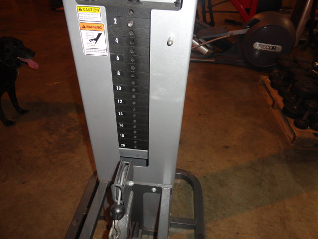 Cybex Low Row