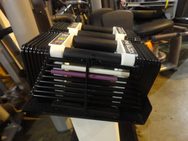 PowerBlocks 5-50lbs w/ stand