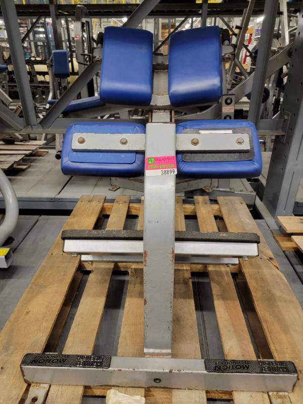 Hammer Strength 45 Degree Back Extension/Hyper Extension