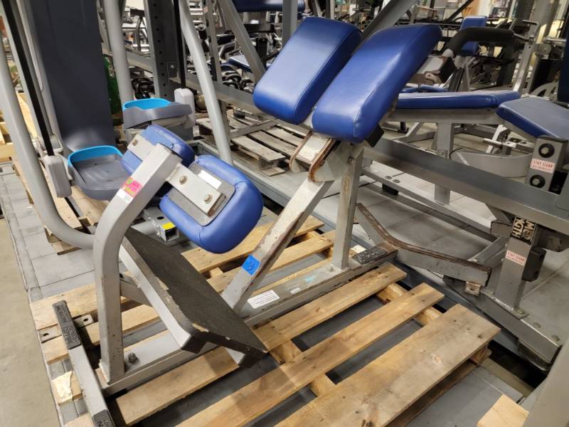 Hammer Strength 45 Degree Back Extension/Hyper Extension