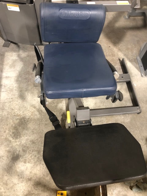 Nautilus Nitro Plus Lower Back Extension