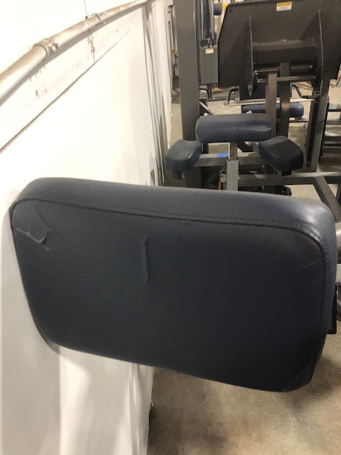 Nautilus Nitro Plus Lower Back Extension