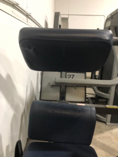 Nautilus Nitro Plus Lower Back Extension