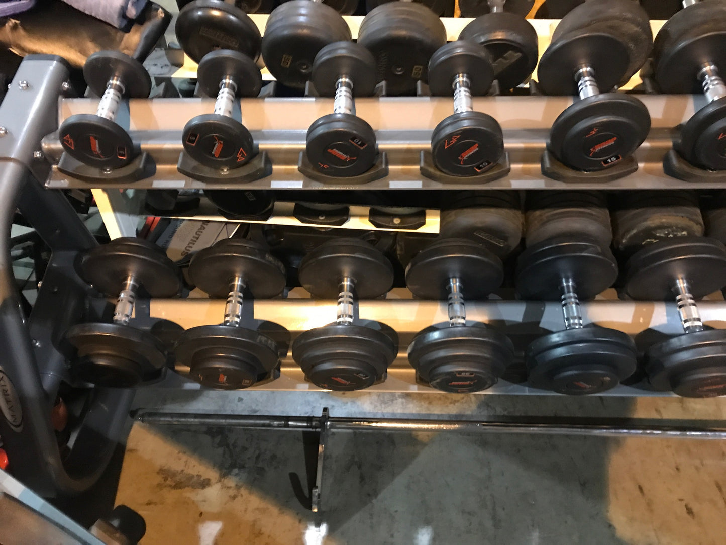 5-100lbs Urethane Pro Style Dumbbell w/ 2 tier rack