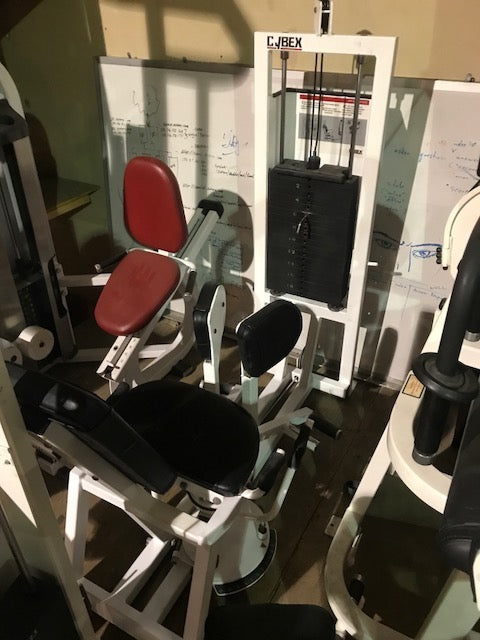 Cybex Classic Adduction Machine