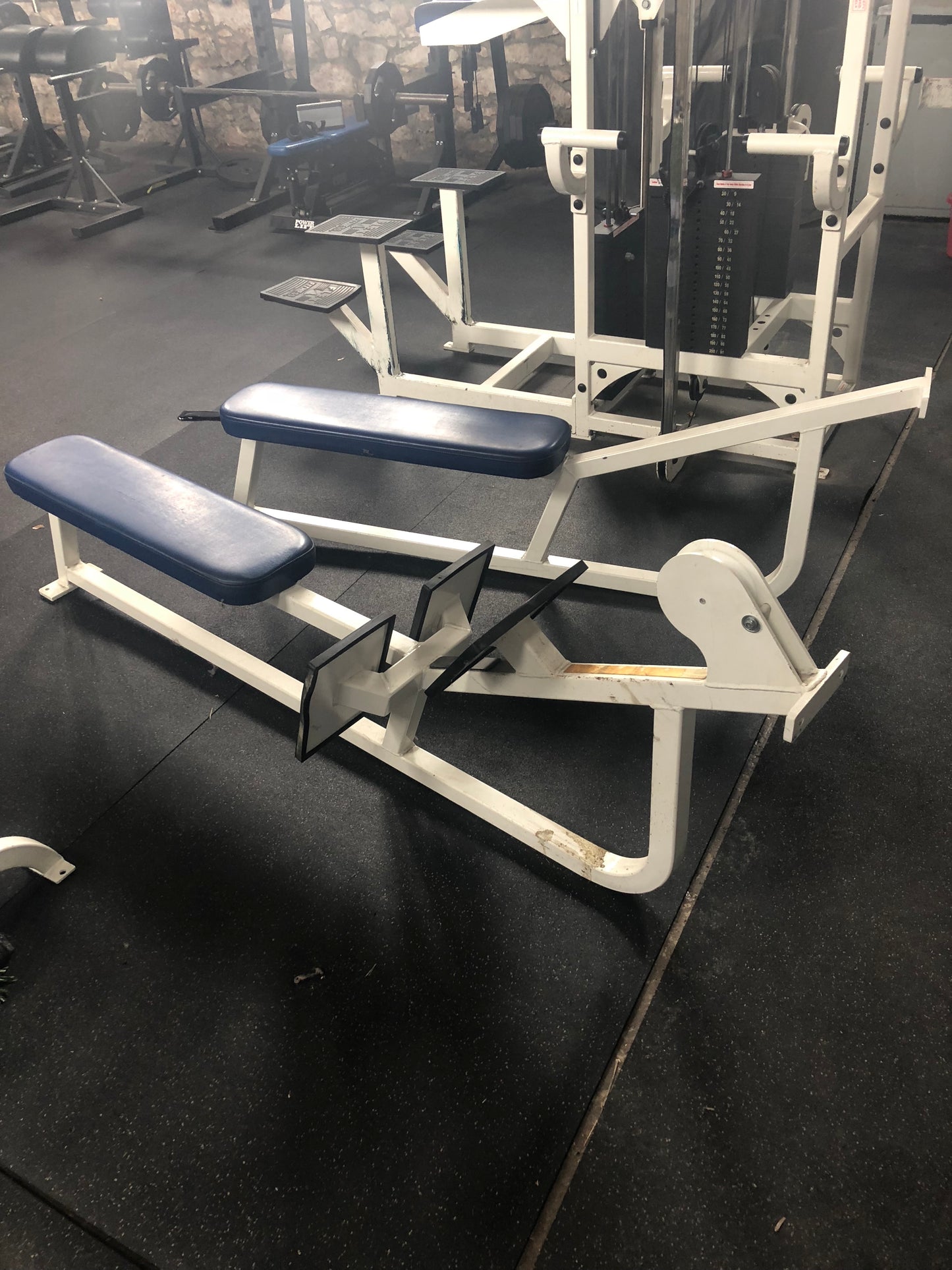 Flex Fitness Jungle