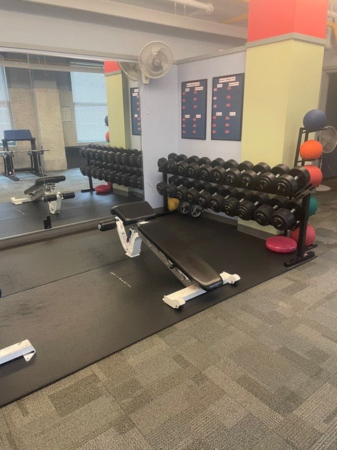 Pro Style 5-100lb Dumbbells w/ racks