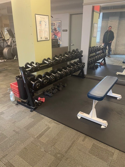 Pro Style 5-100lb Dumbbells w/ racks