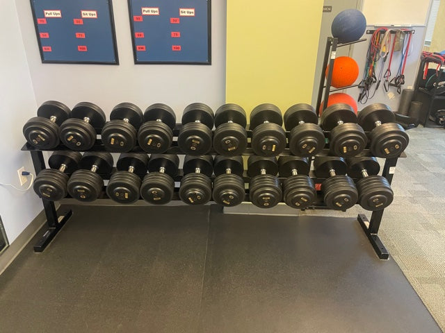 Pro Style 5-100lb Dumbbells w/ racks