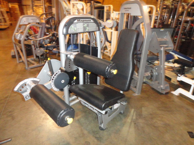 Magnum E Series Seated Leg Curl/Leg Extension