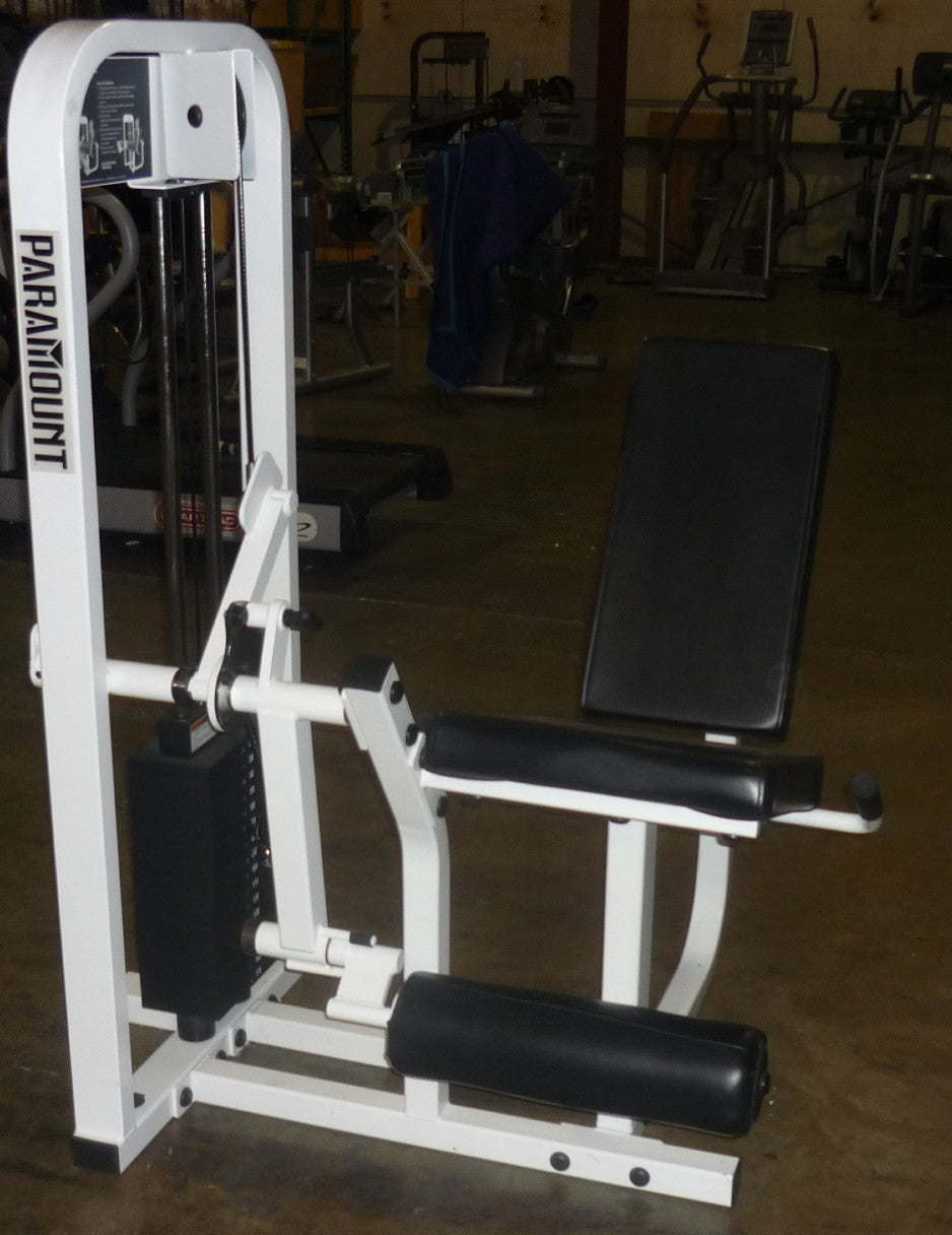 Paramount Selectorized Leg Extension